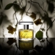 Ann Gerard Perfume Collection