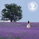 Jeanne en Provence kolekcija