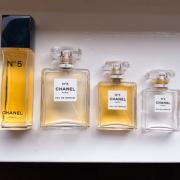 Clip vlinder Zegevieren Signaal Chanel No 5 Eau de Toilette Chanel perfume - a fragrance for women 1924