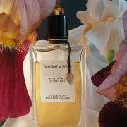 Clip vlinder stil Stadion Bois d'Iris Van Cleef &amp;amp; Arpels perfume - a fragrance for women 2009