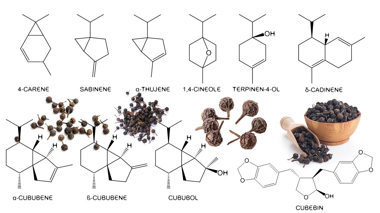Pepper, The Long & The Short Of It ~ Raw Materials