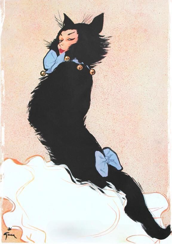 remember the cat?