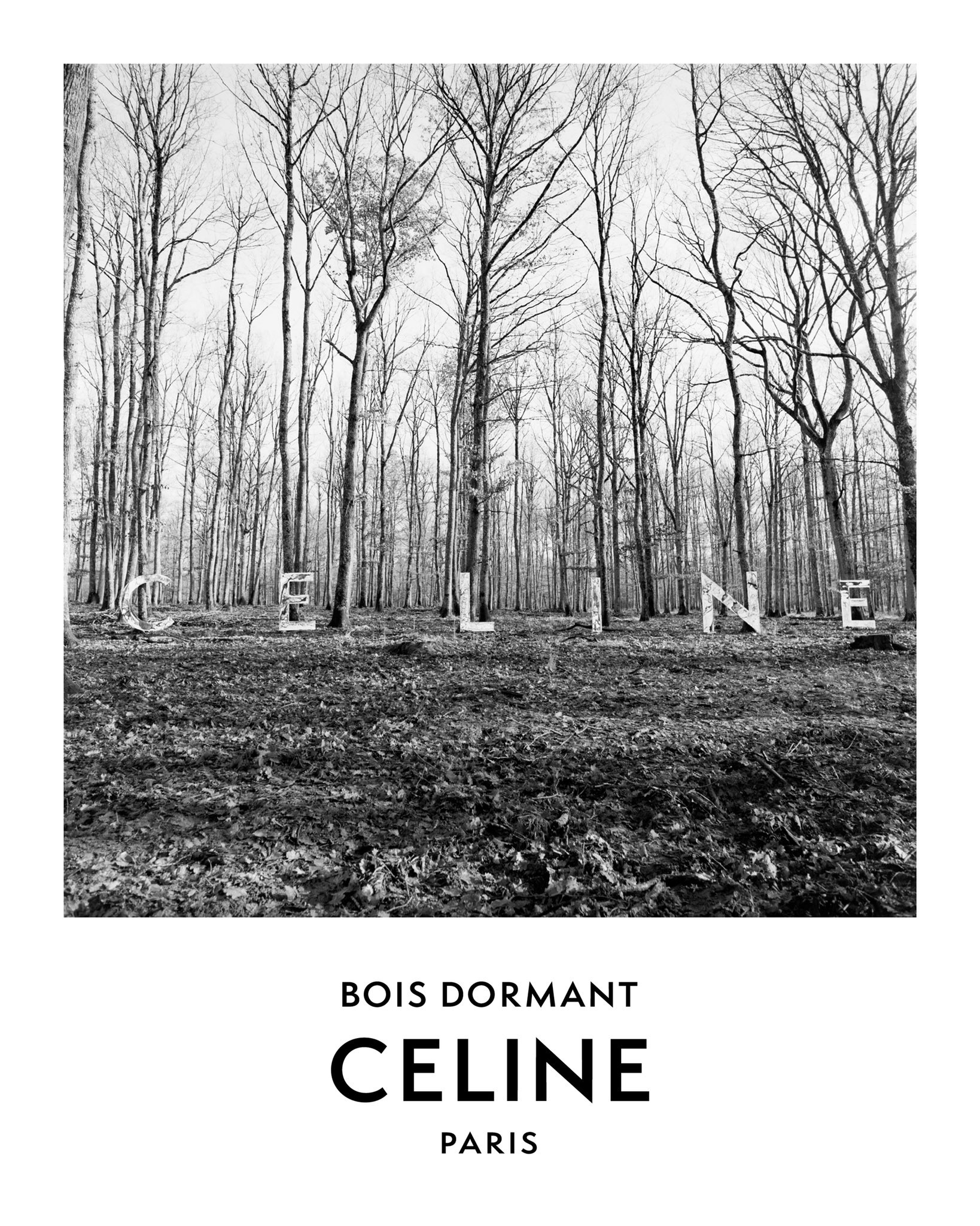 Celine Bois spící
