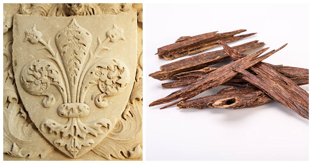 Iris on Florence emblem and Oud chips