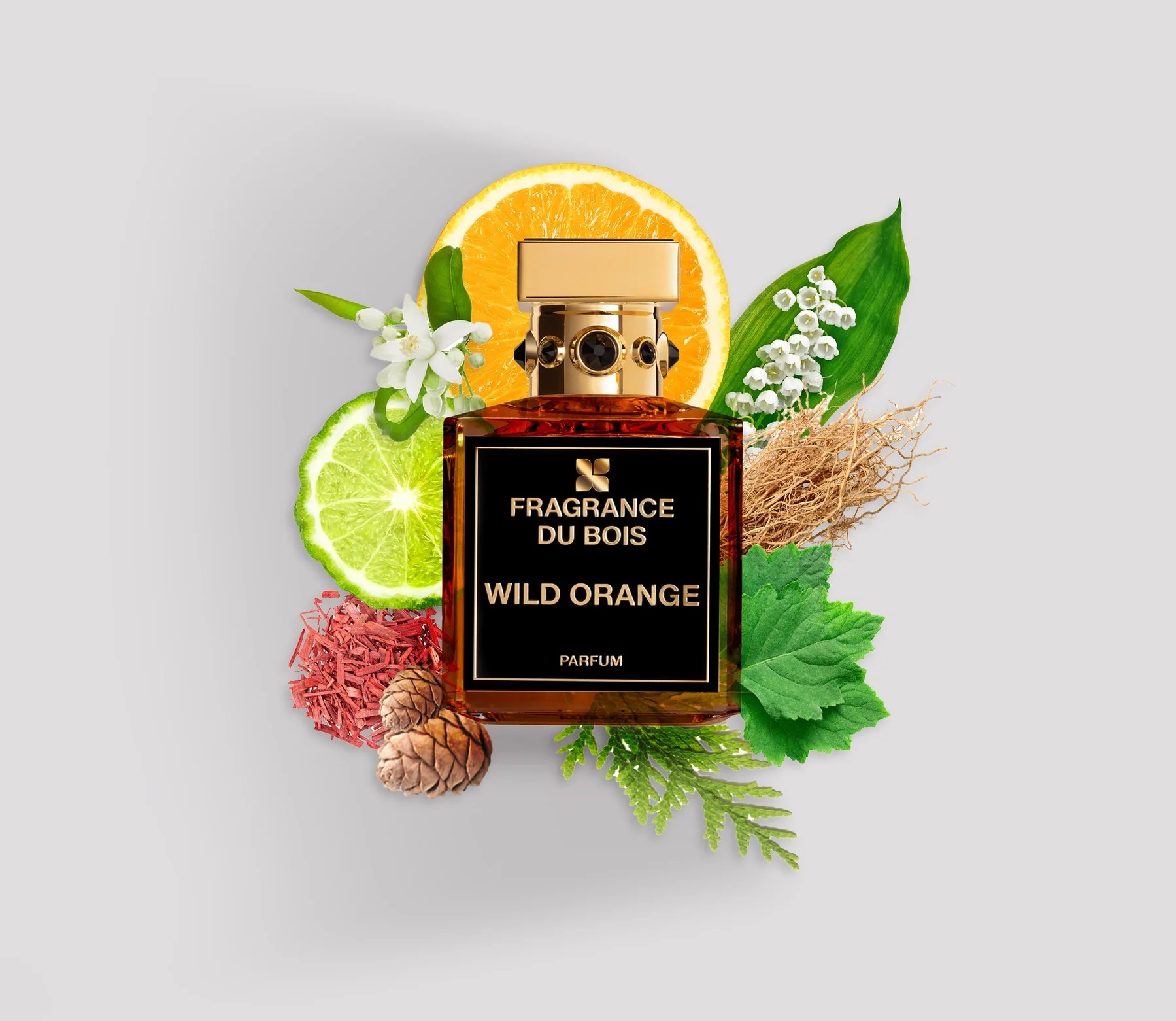 wild orange fragrance du bois