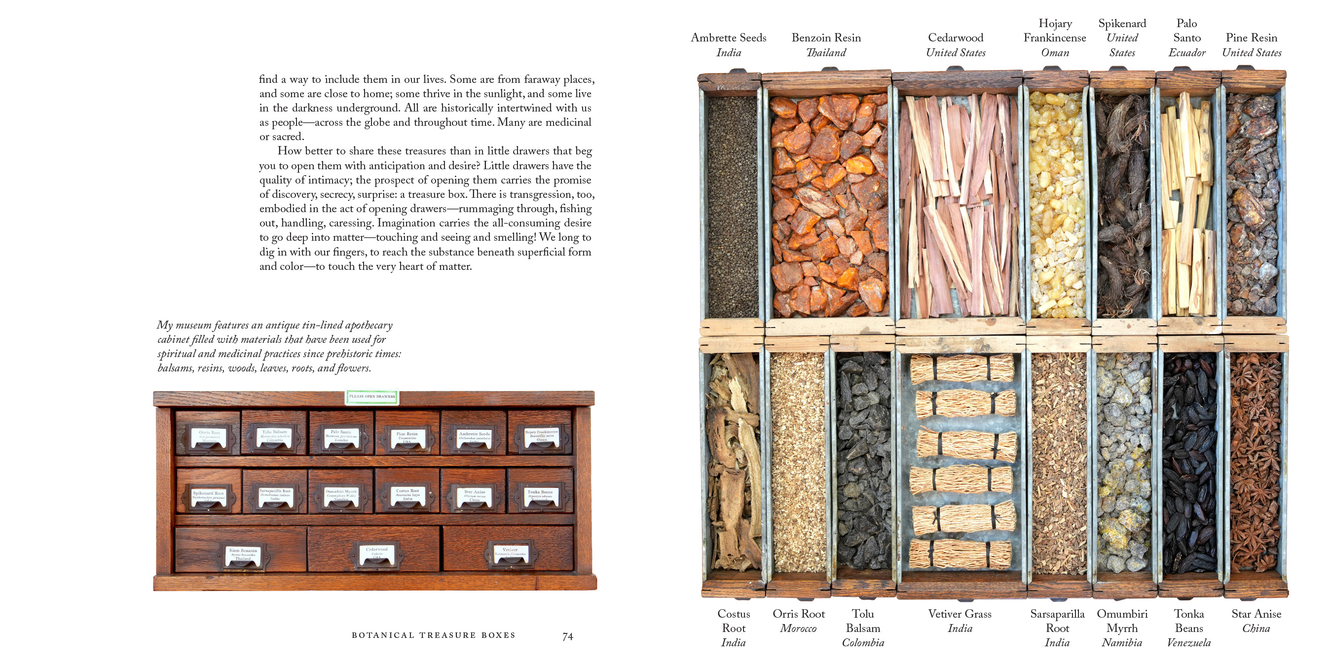 The Museum of Scent page