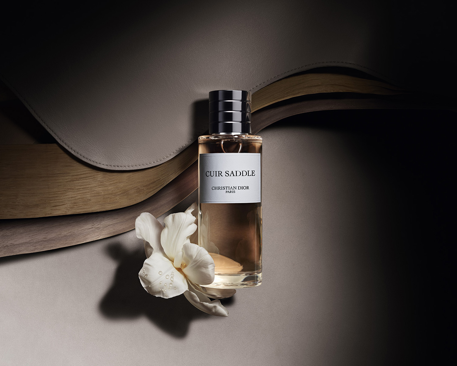 Dior Cuir Saddle ~ Agora Nas Lojas