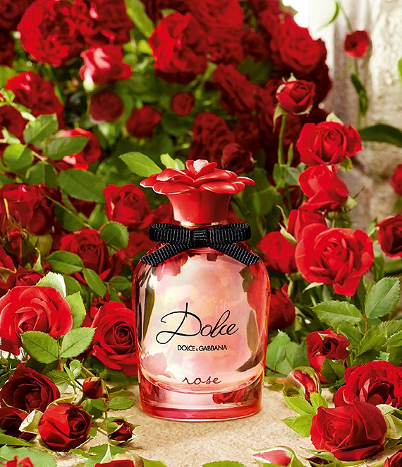 dolce and gabbana rose perfume review