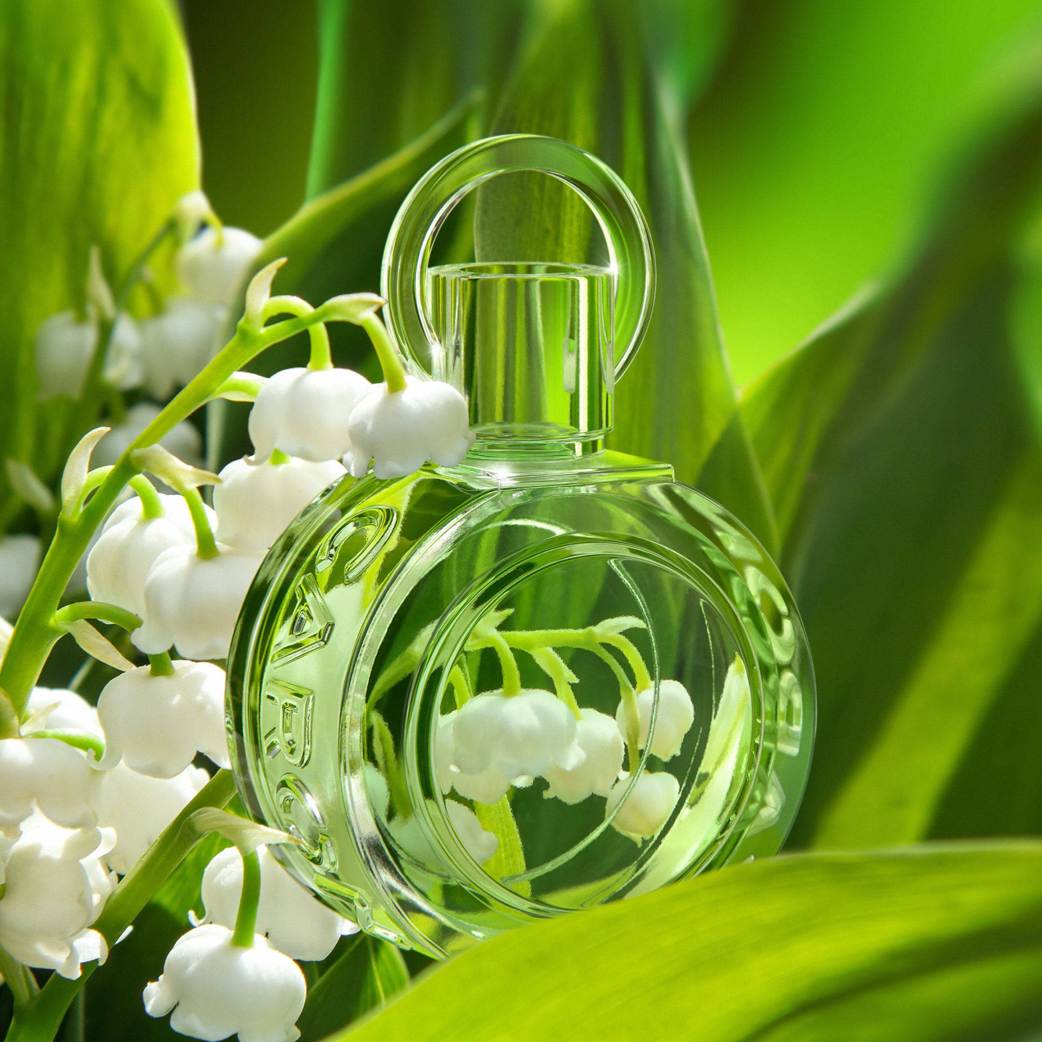 Caron Muguet Du Bonheur 21 New Fragrances