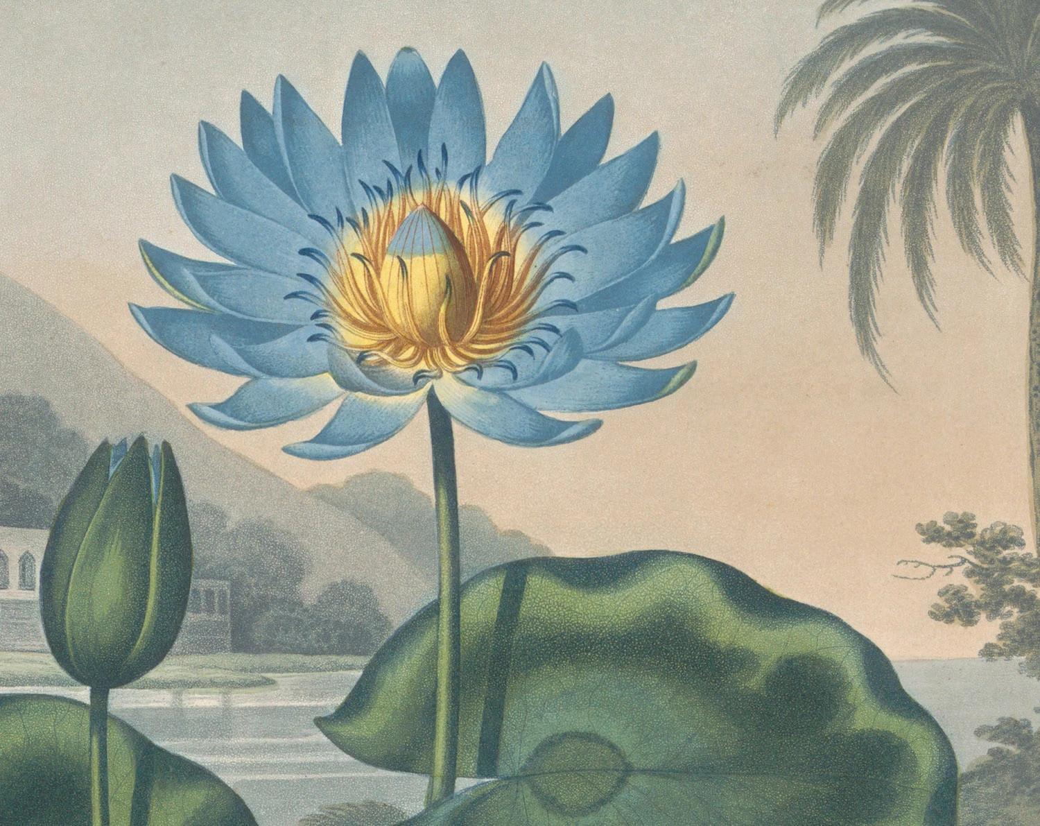 Scents of Ancient Egypt With an Egyptologist Art Books Events