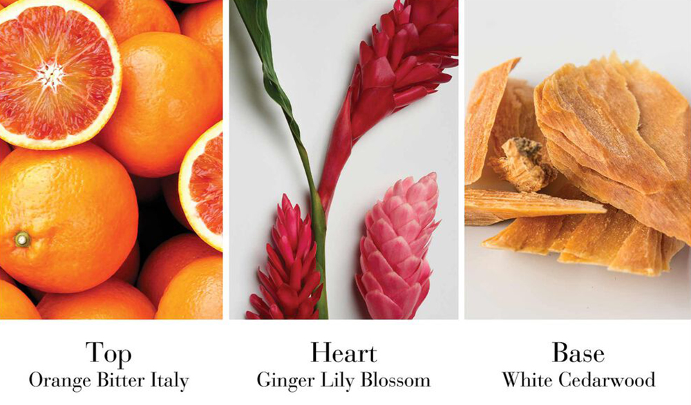 Elizabeth Arden White Tea Ginger Lily New Fragrances