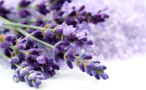 A New Ethical Standard Towards Perfume Consumers