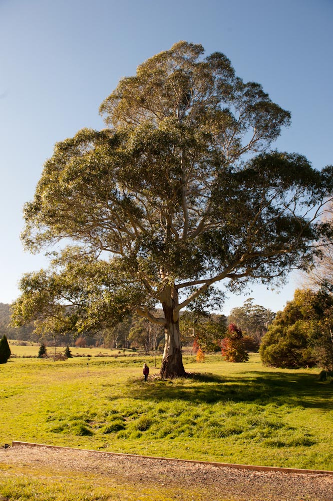 Symrise Travels to Tasmania ~ Art Books Events