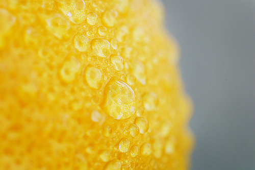 lemon rind with dew drops on it