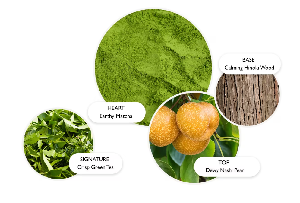 モルトンブラウン Tea Ceremony 香りの構成ノート