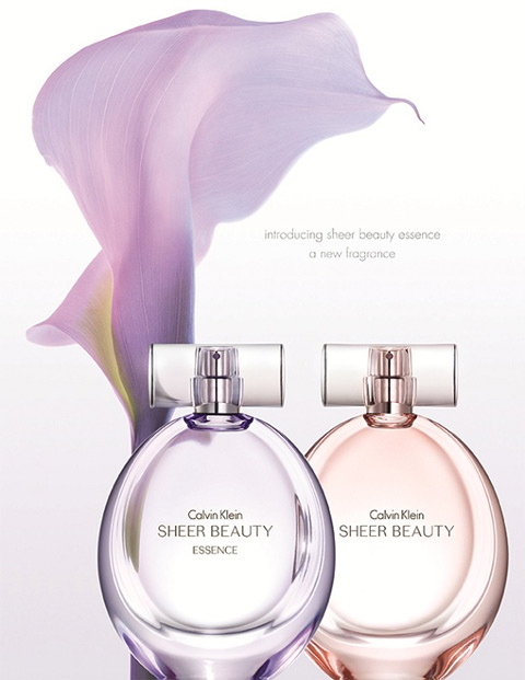 price of calvin klein sheer beauty perfume