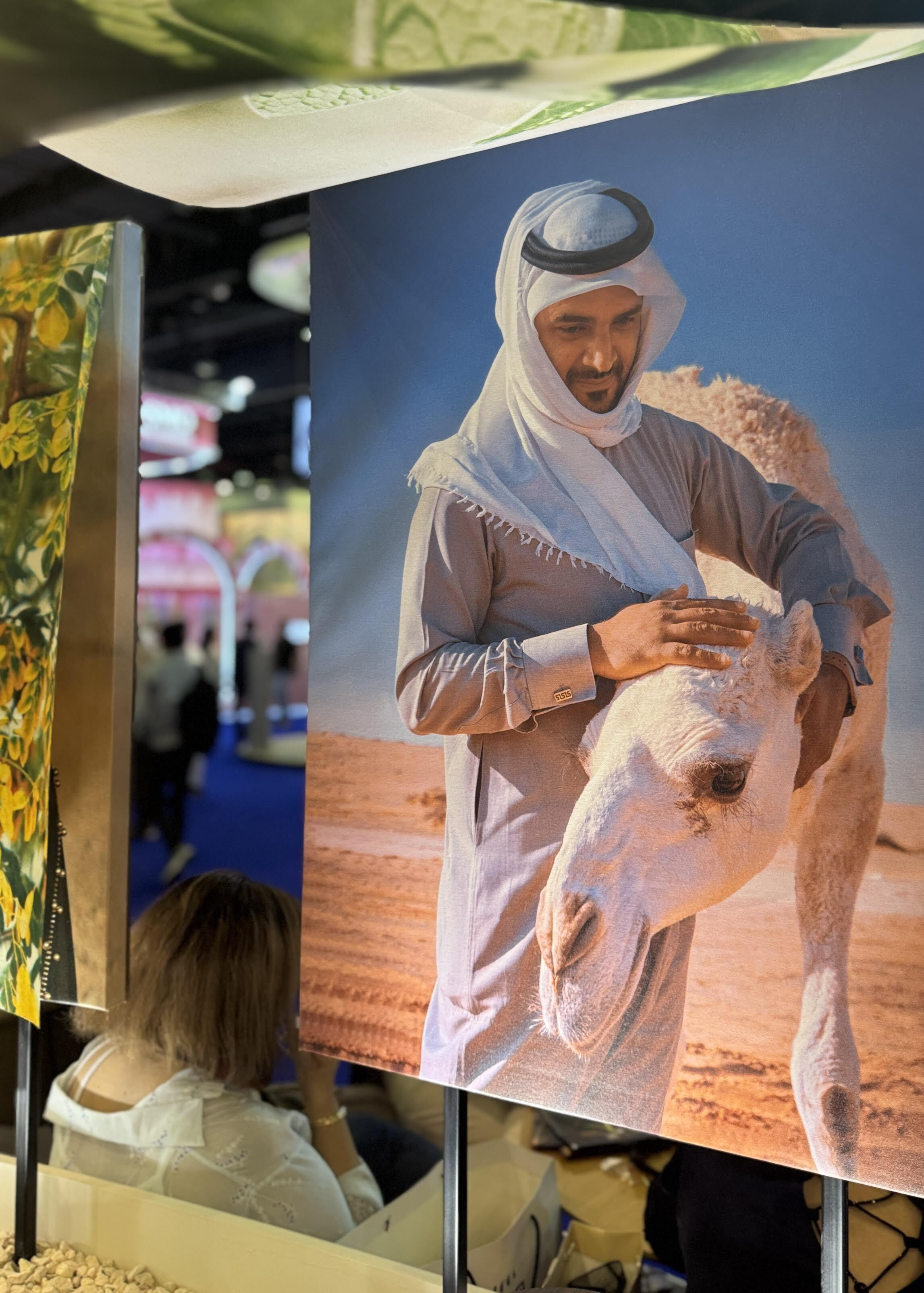 bwme 2025, aromata CPL