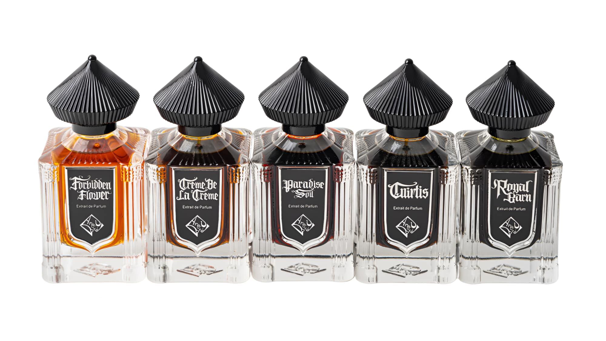 musk collection areej le dore