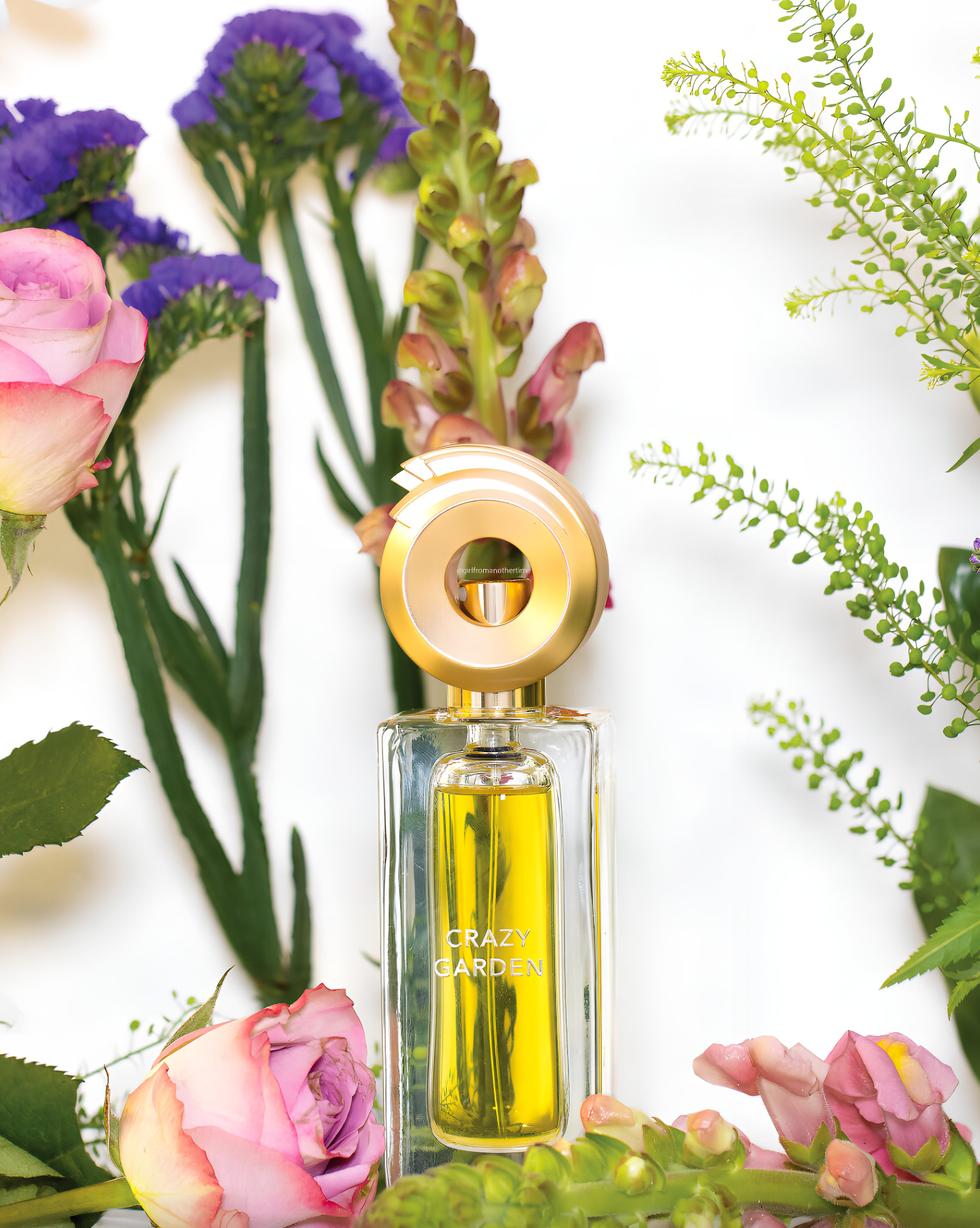 My Clémentine from Aphôrismes by Dominique Ropion: A Monument to Citrus