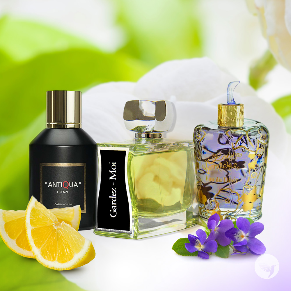 The Fragrant Ambient Power Of Orange Blossom And Neroli