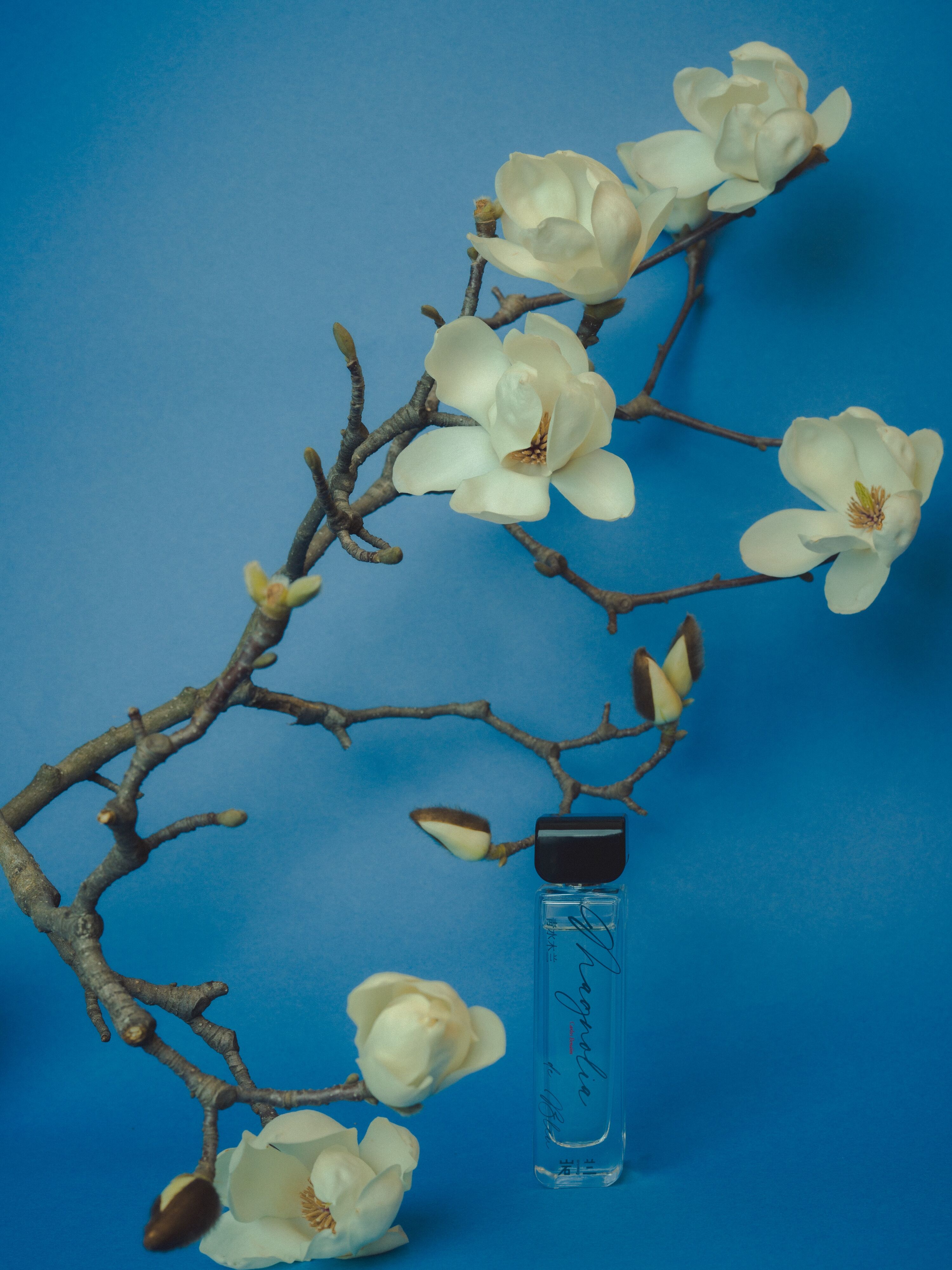Magnolia de Bleu 青水木兰 aromag 岩兰 perfume 香水