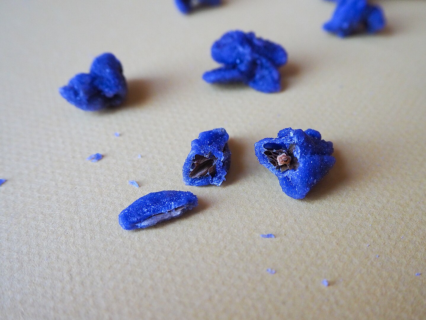 violette de toulouse