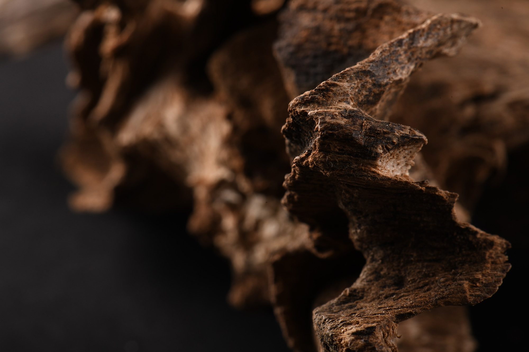 Oud chips on a dark background.