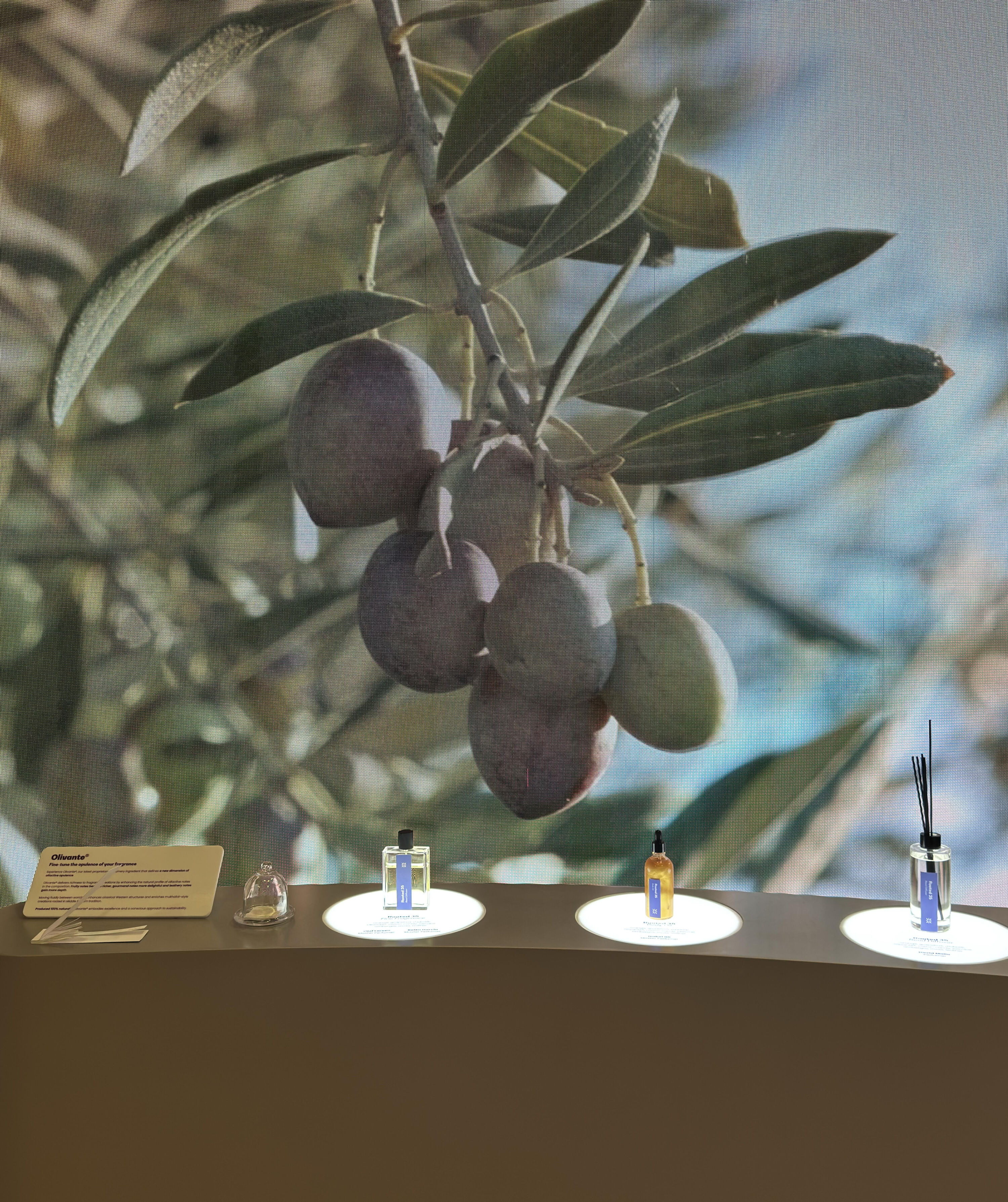 BWME 2025, EUROFRAGANCE