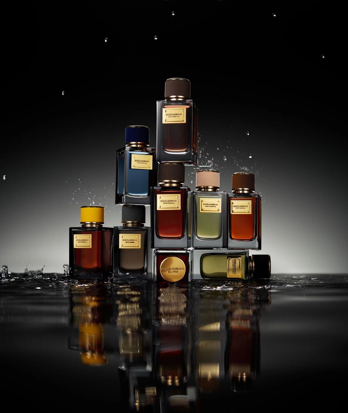 dolce&gabbana velvet collection