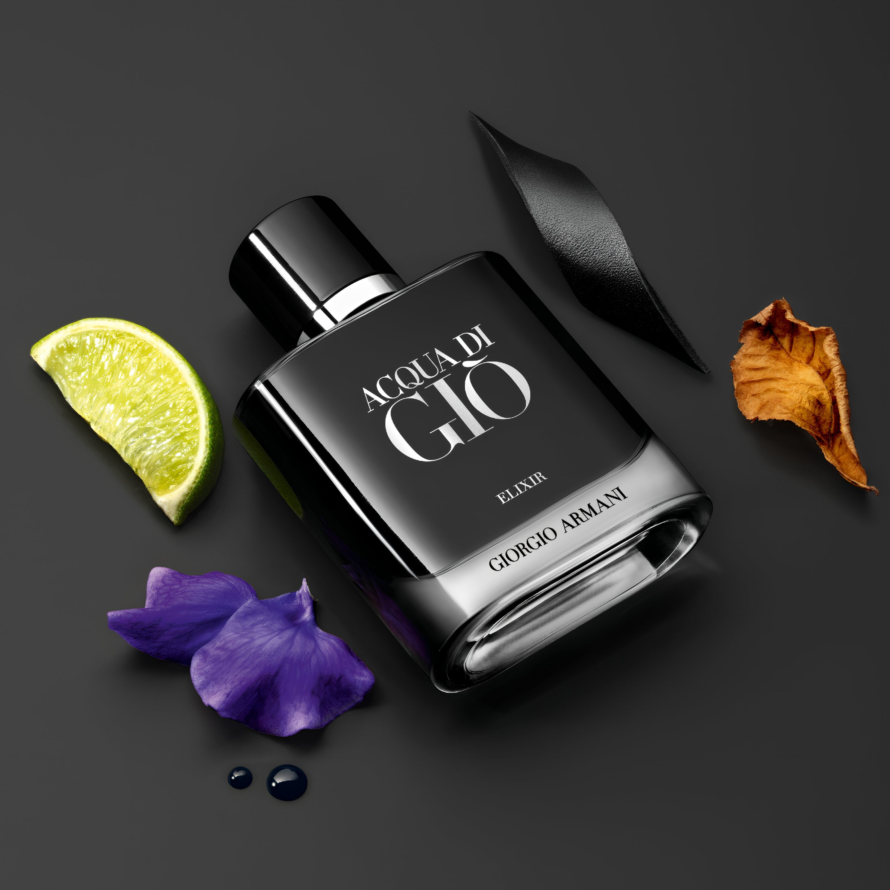 Giorgio Armani Acqua di Giò Elixir