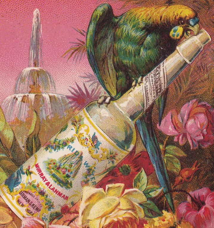 florida water bottle picture