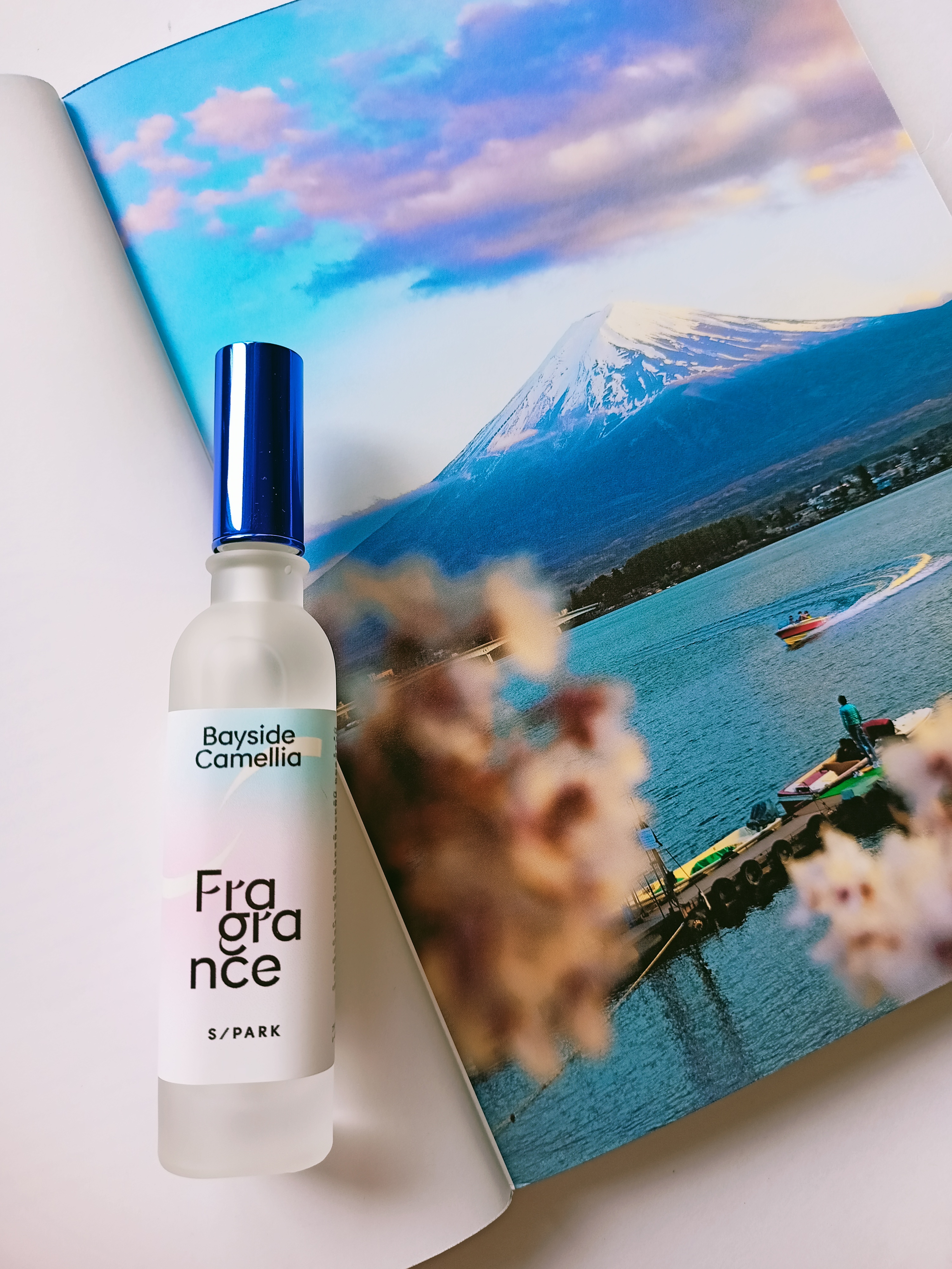 Музей S/PARK Shiseido или как с пользой потратить пару часов в Йокогаме