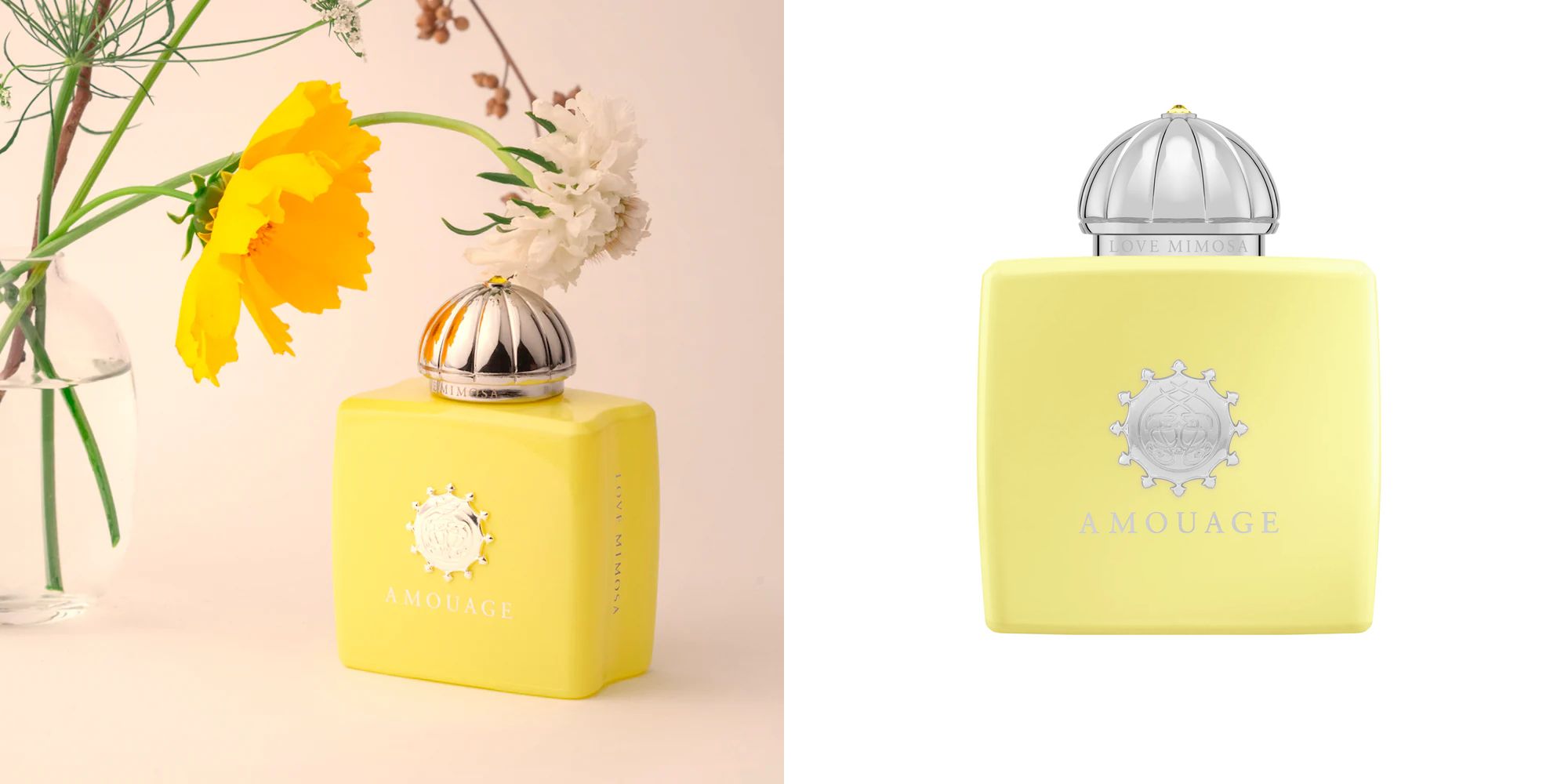 Love Mimosa Amouage for women and men