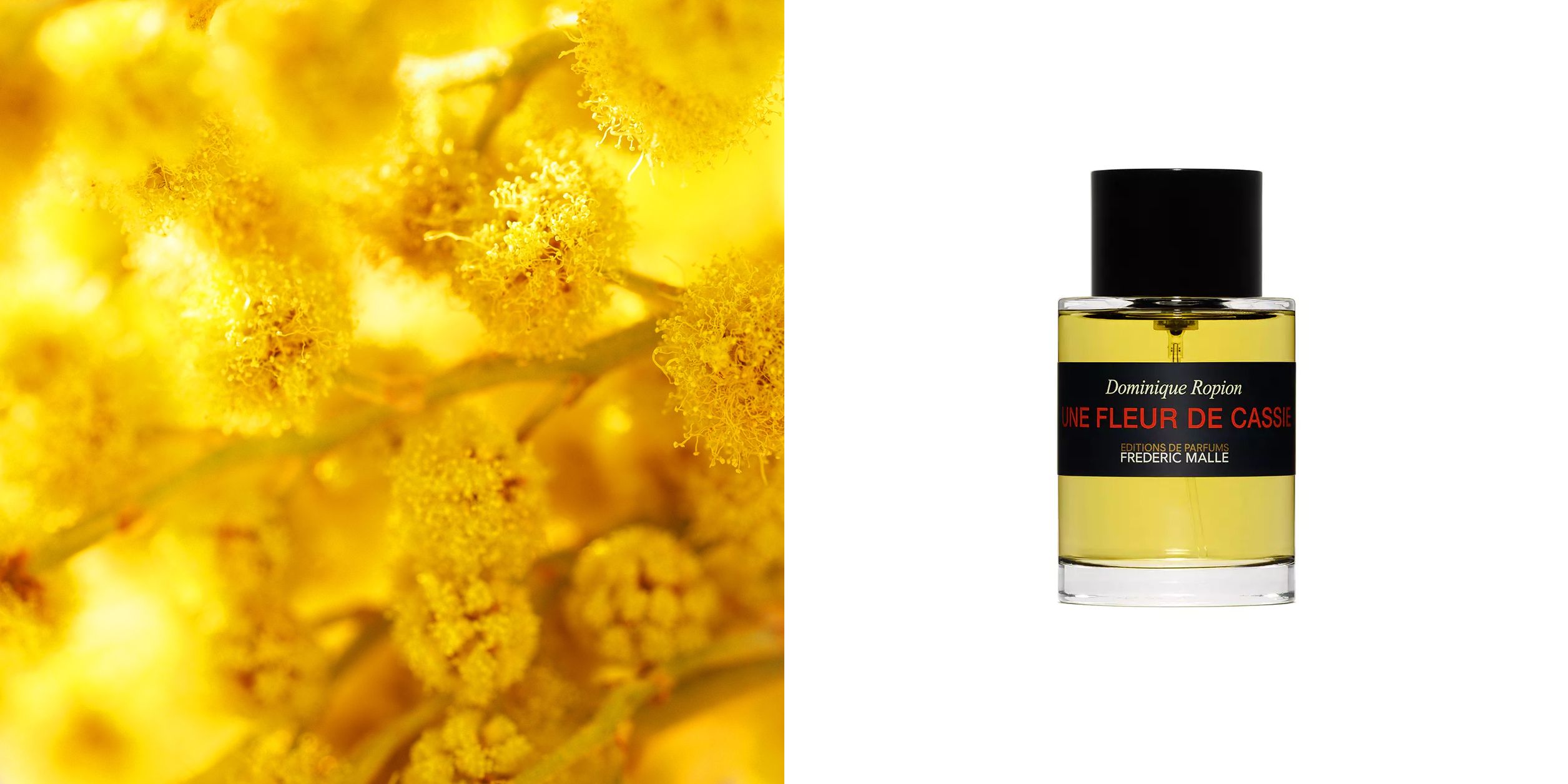 Une Fleur de Cassie Frederic Malle for women