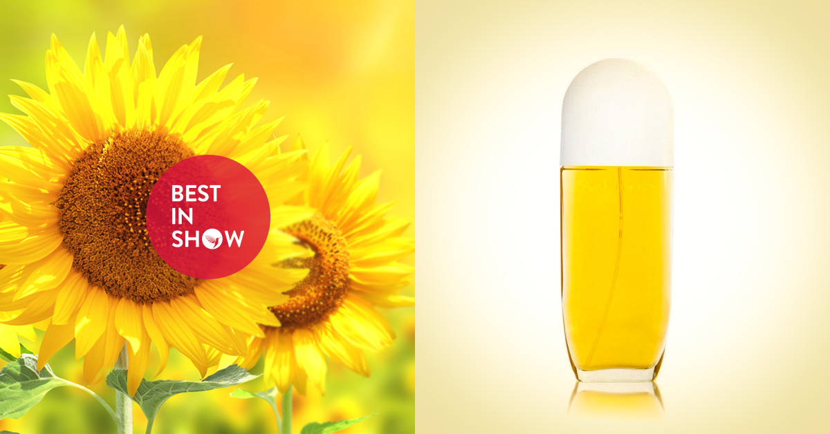 Perfume bottle of Sunflowers Elizabeth Arden for women.