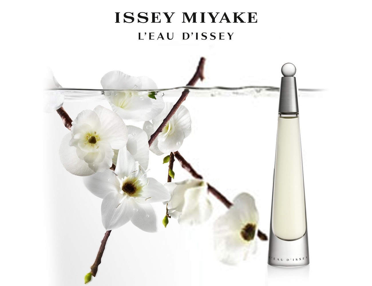 isimiaki pure perfume