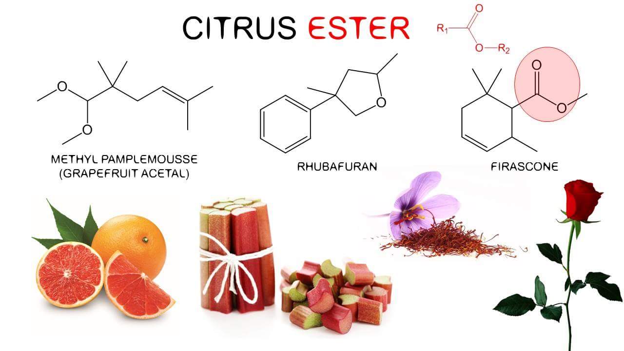 ÆTHER Perfumes An Overview Fragrance Reviews