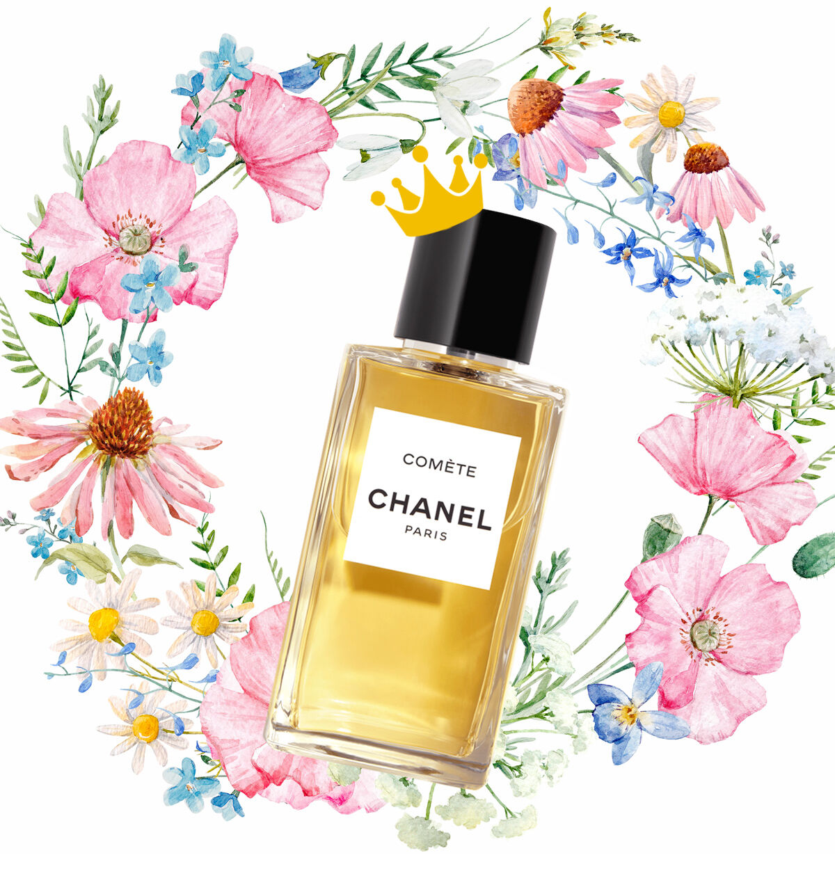 SUMMER 2024 PERFUME HIGHLIGHTS: Comète Chanel & Pelagos Dusita ~ Fragrantica