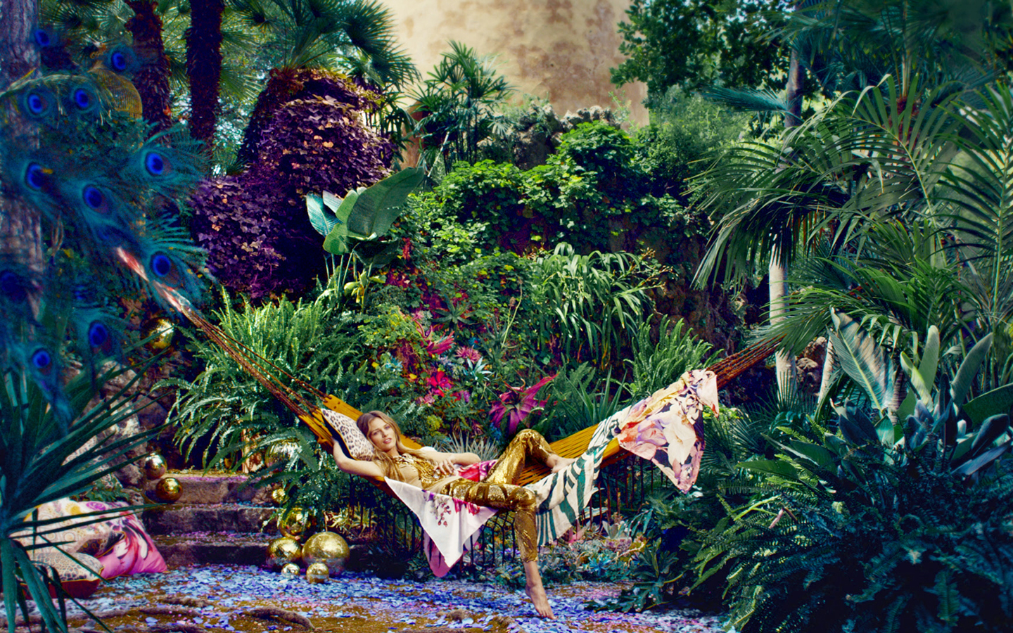 roberto cavalli assoluto paradiso