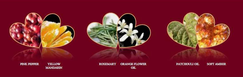 happy spirit forever