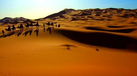 desert with camel caravan