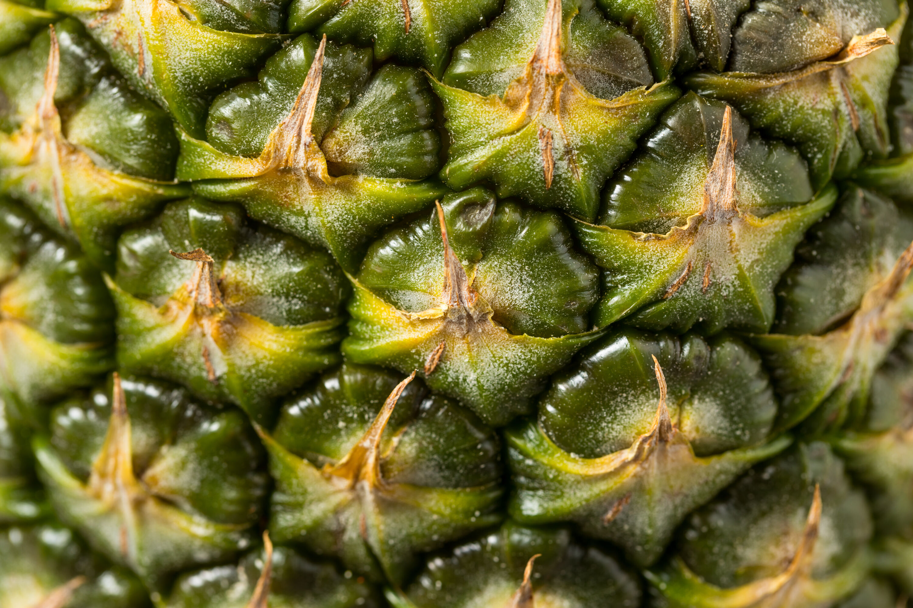 pineapple skin