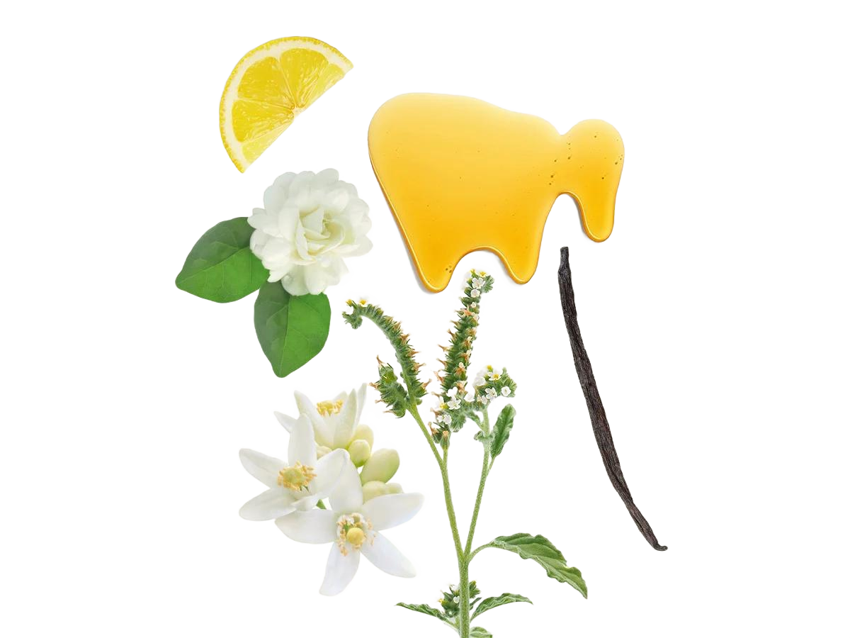 New Additions to Widian's Rose Arabia Collection: Cotton and Ginger