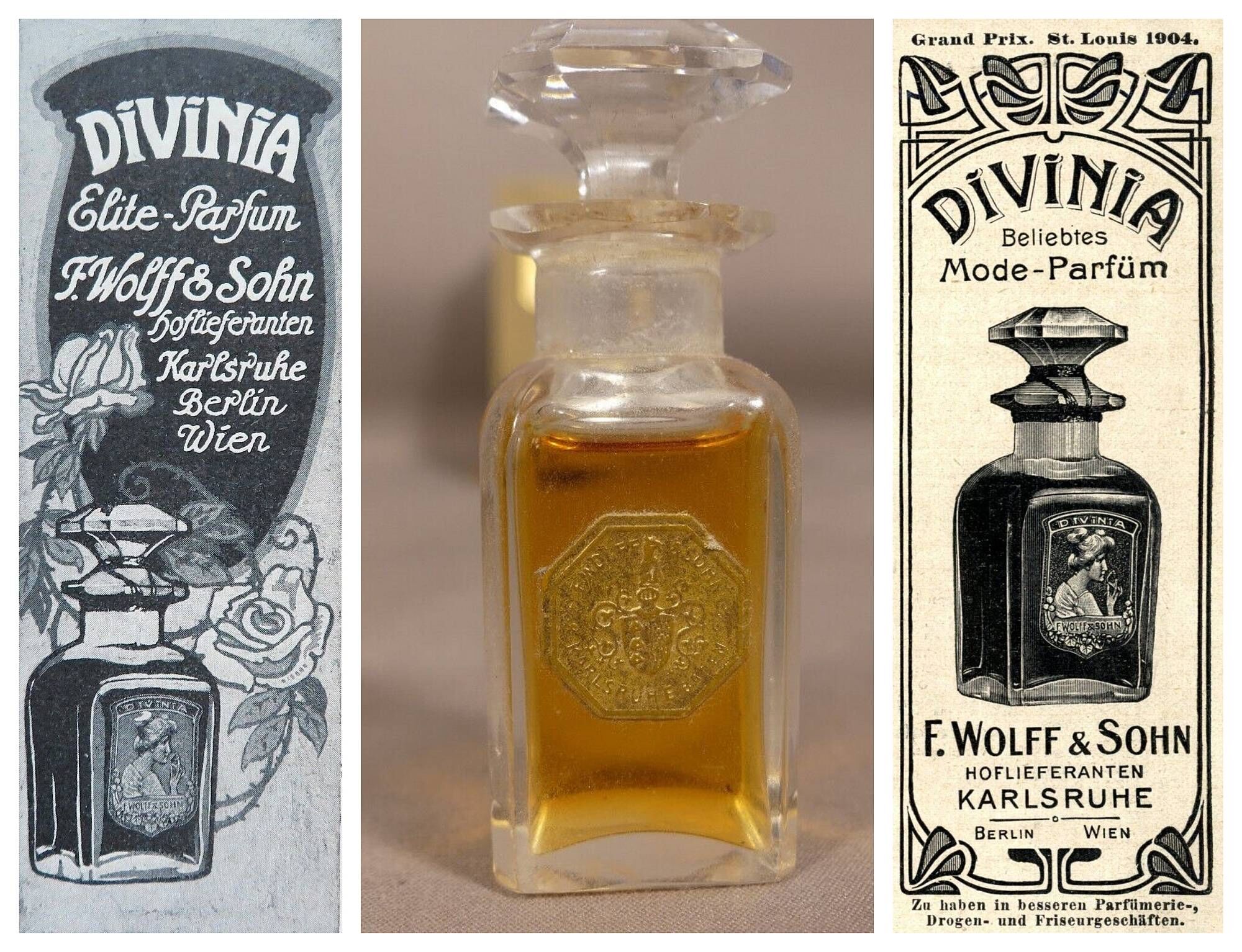 divinia f wolff