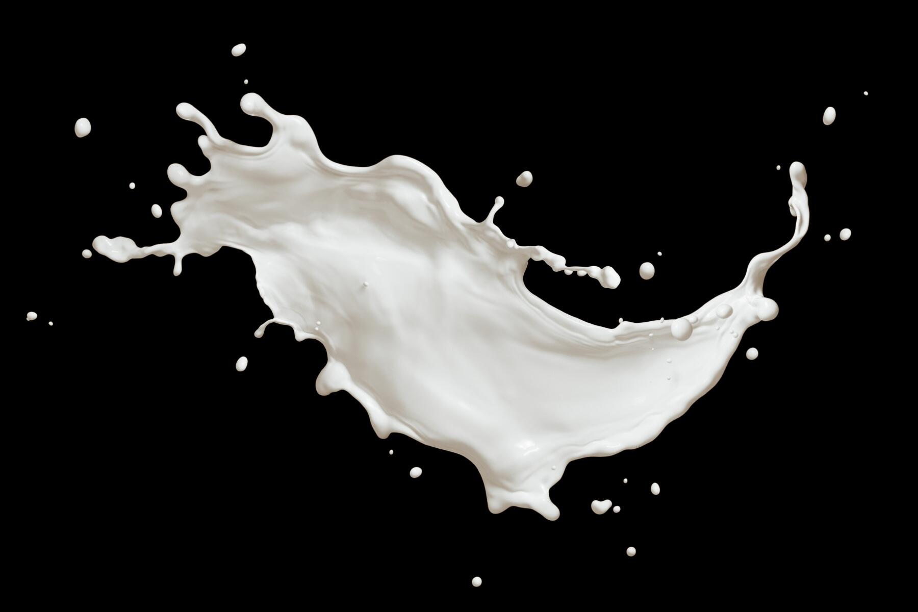 A splash of white milk on a black background