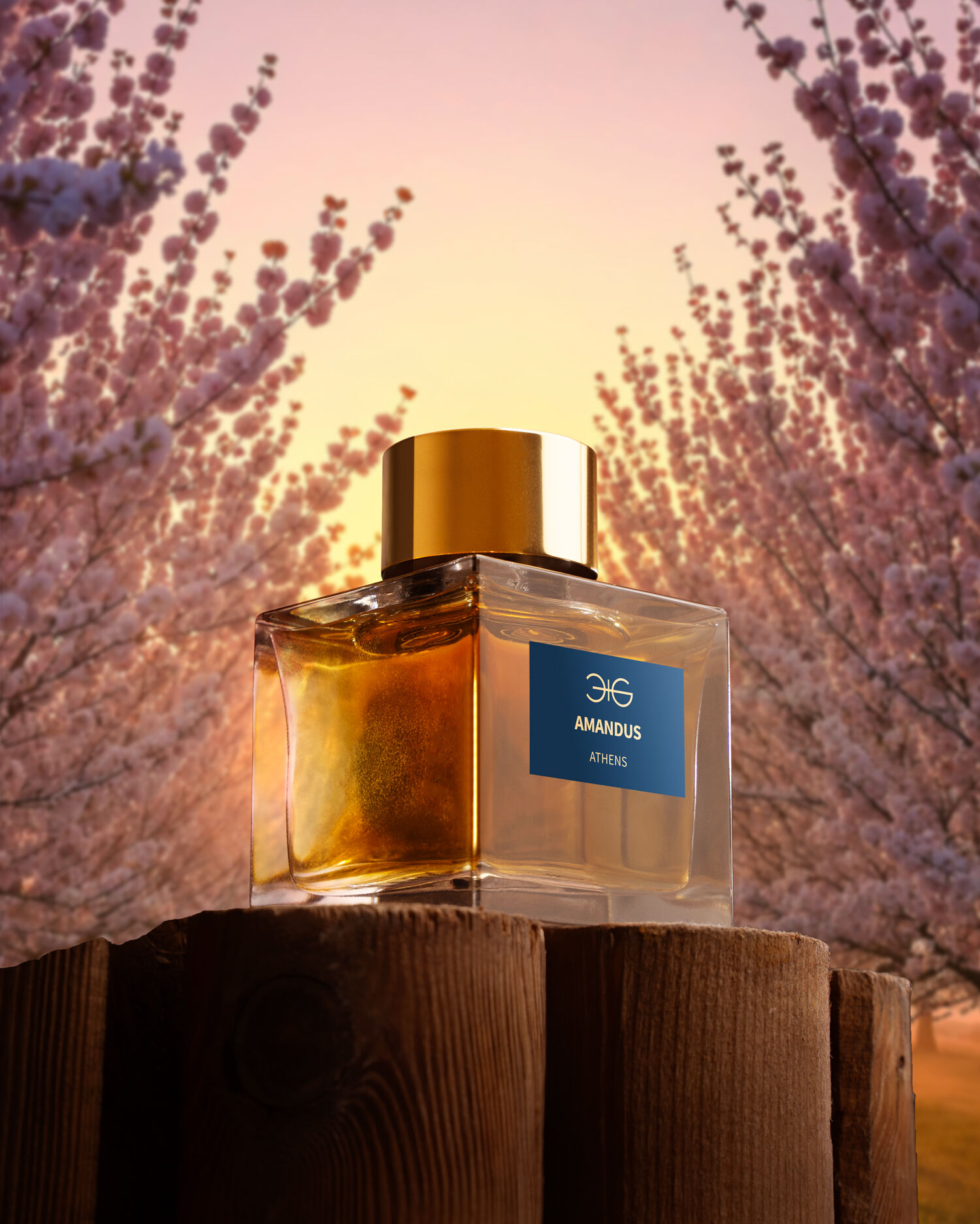 Amandus di Manos Gerakinis