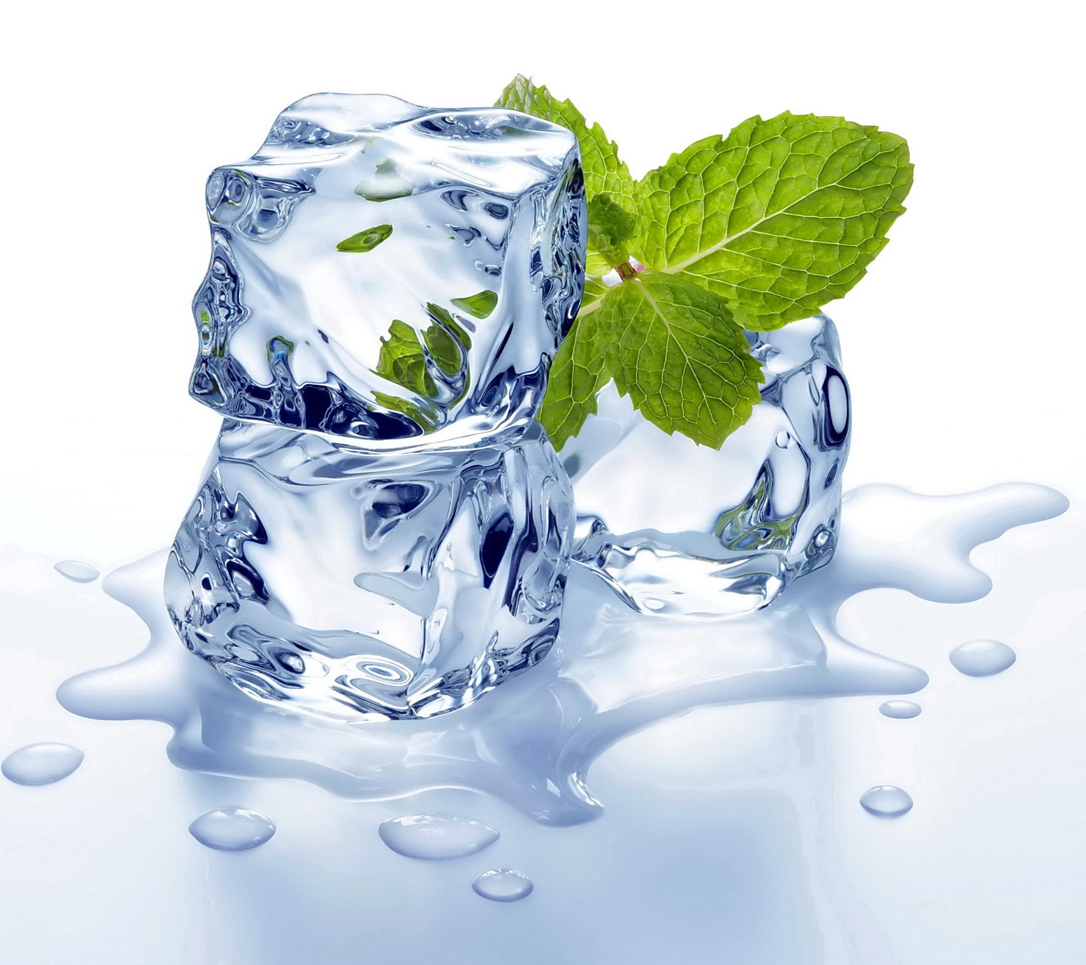 mint and ice cubes