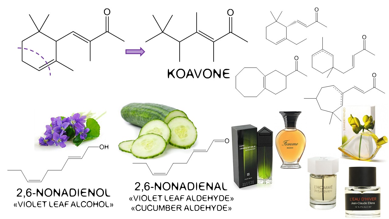 Color and Smell, Part II Violet Raw Materials