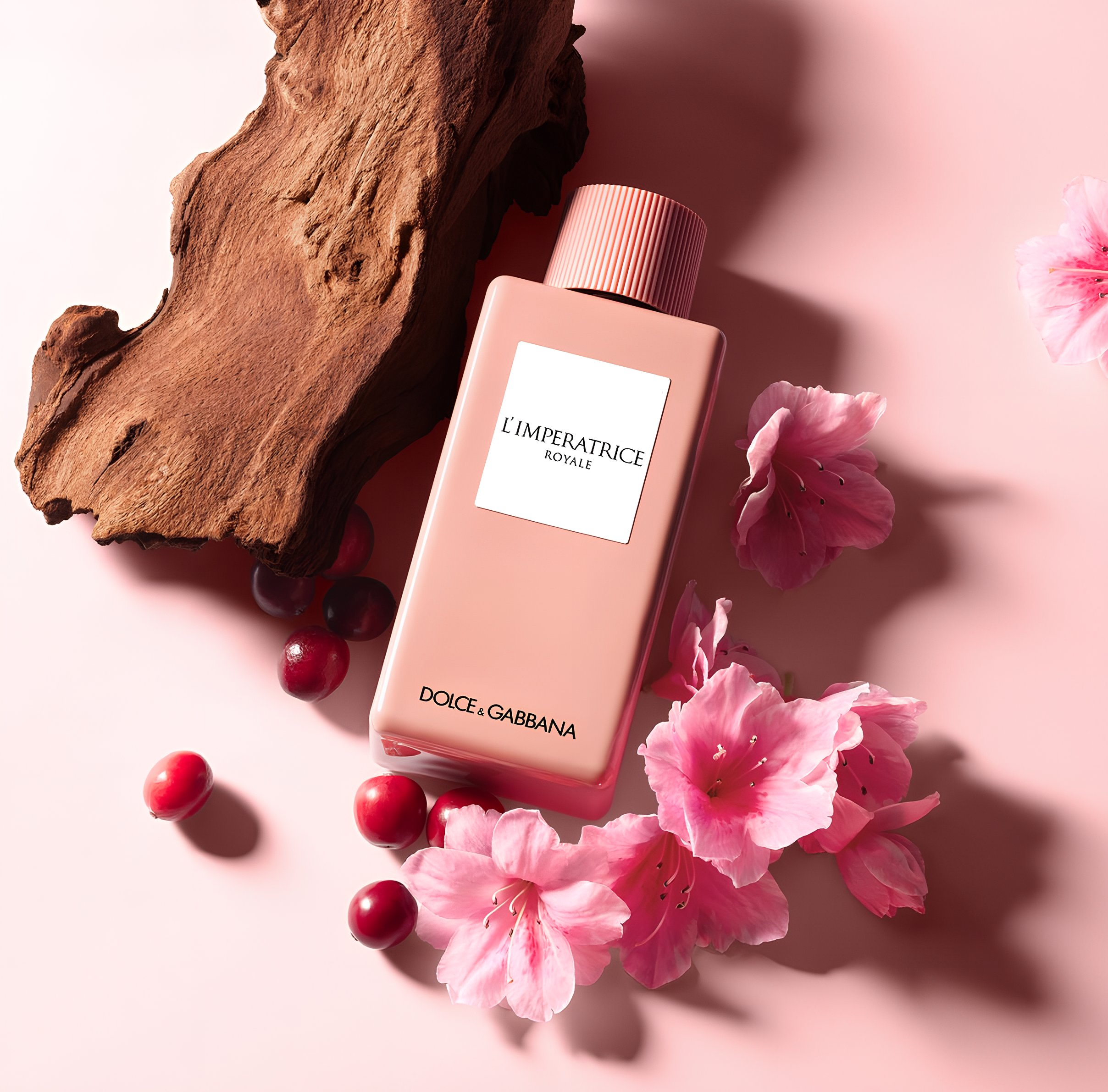 Dolce & Gabbana L'Imperatrice Royale