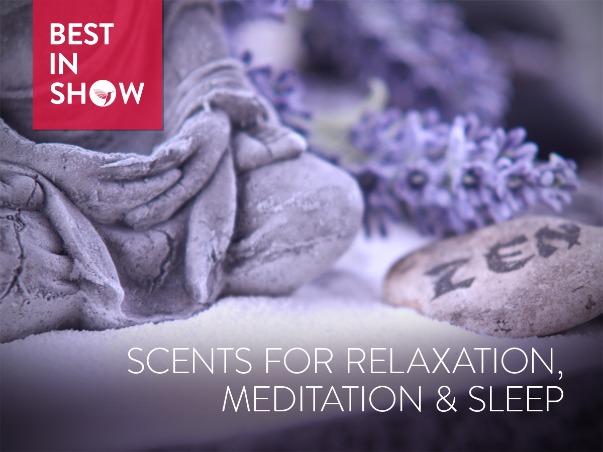 Best in Show Scents for Relaxation, Meditation & Sleep (2017) Best